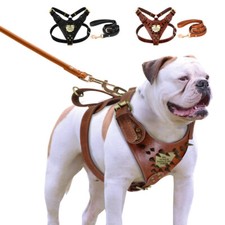 Personalisiert Hundegeschirr