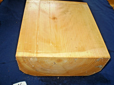 Zypresse Scheinzypresse