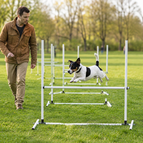 Pcs hunde agility training - 4,