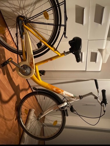 Damenfahrrad vortex