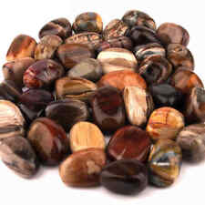 Versteinertes Holz Trommelsteine handpoliert Ø ca. 35 – 45 mm AAA - Qualität