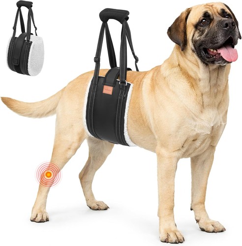 Grösse hunde tragehilfe - hunde,