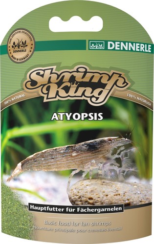 Dennerle shrimp king atyopsis - king,