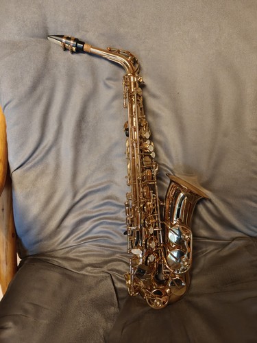 Antigua winds alt saxophon - antigua,