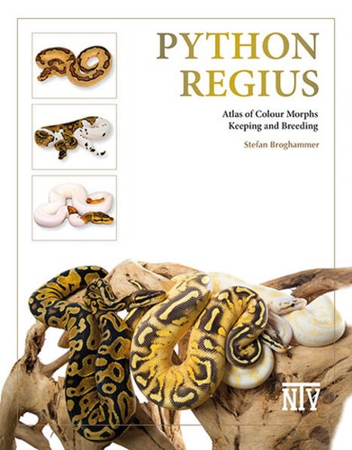 Python regius stefan - python,