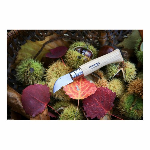 Opinel kastaninenmesser - opinel,