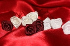 5 Stück Haarnadeln Kopfschmuck Brautschmuck ivory creme hellcreme