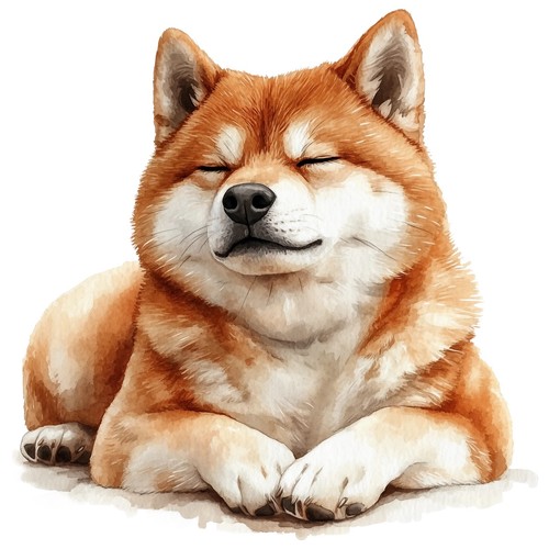 Sticker akita inu - sticker,