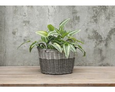 Pflanzkorb Polyrattan Ø 45 cm
