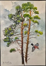 👉großes Aquarell "Vogel im