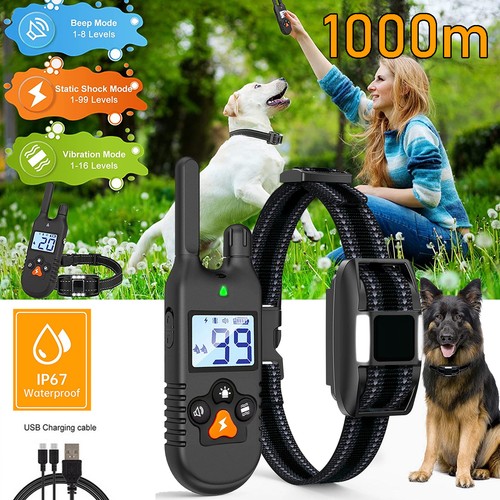 Elektroschock pet dog - dog, training