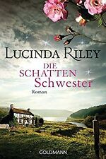 Die Schattenschwester: Roman -