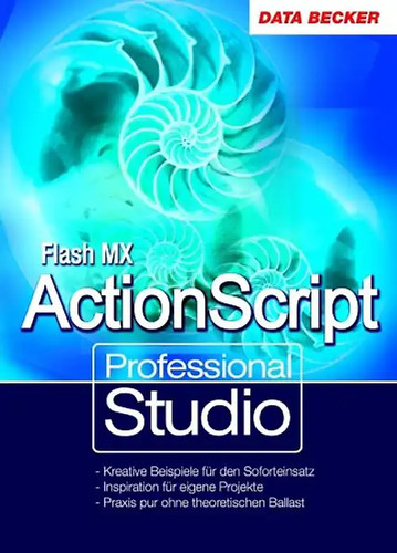 Professional studio flash - professional,