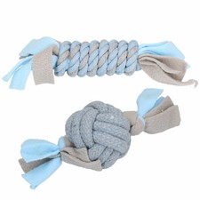 2 blaue kleine Hunde Welpen