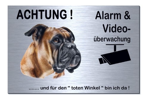 Boxer hund alarm video 300 - boxer-hund-alarm-video-300, x