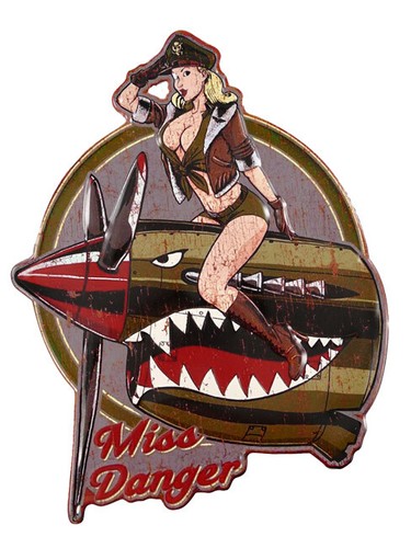Blechschild miss danger pin - miss, up