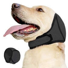 Leise Ohren für Hunde