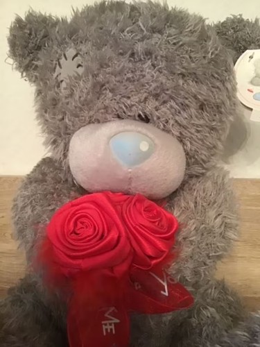 Tatty teddy you - you, mit