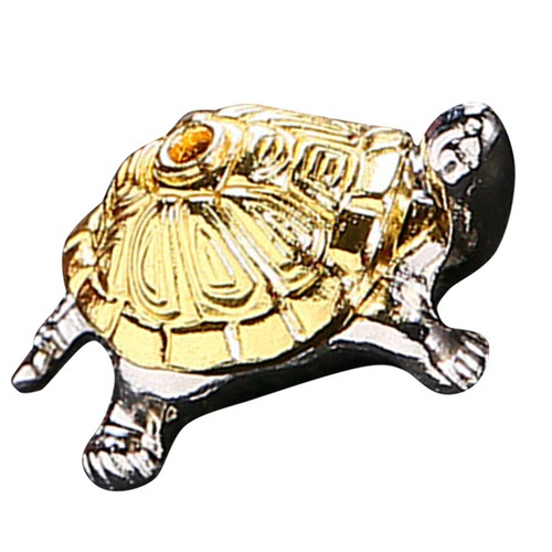 Schildkröten zubehör - schildkröten,