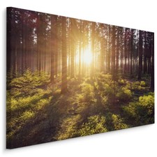 Fabelhafte Canvas LEINWAND