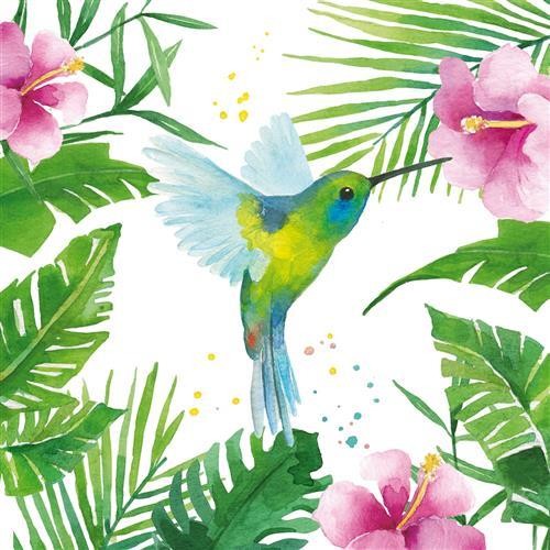 Servietten kolibri tiere - 20,