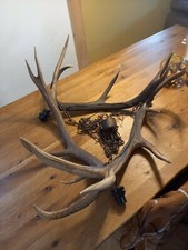 Geweih lampe Hirsch Hängelampe Kronleuchter 10 Ender
