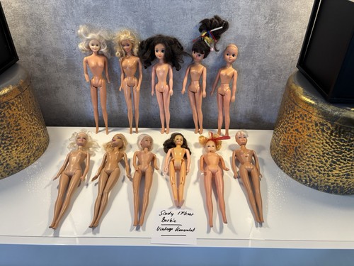 Mattel alte barbiesindy fleur - alte,
