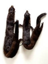 Nerz Schal Mantel/Fell/