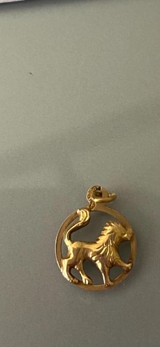 Anhänger löwe gold 333 - anhänger,