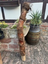 Zimmerpalme Dekobaum  Zimmerpflanze groß dekorativ Palme