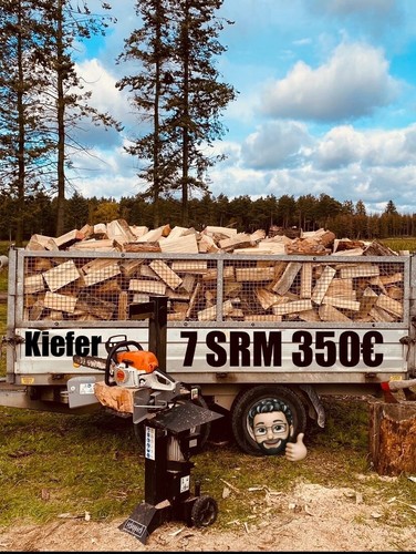 Kamin holz kiefer - holz, 50€