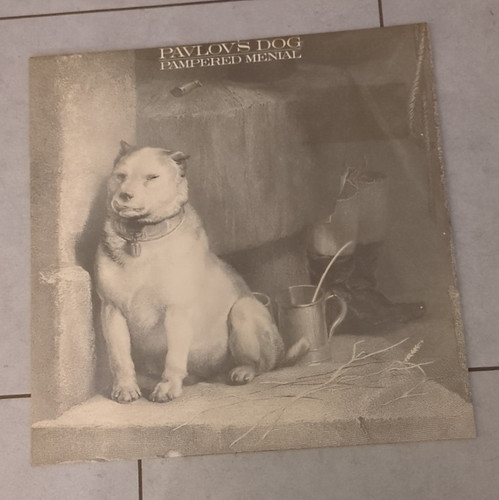 Pavlov dog pampered - pavlov´s,