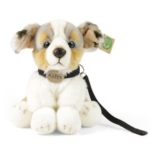 Australian shepherd cm - shepherd, h=24