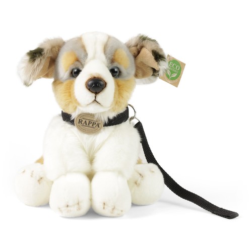 Australian shepherd cm - shepherd,