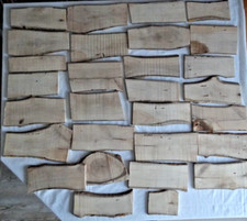 Nussbaum  Walnuss Brett  29 St. Ast Bohlen