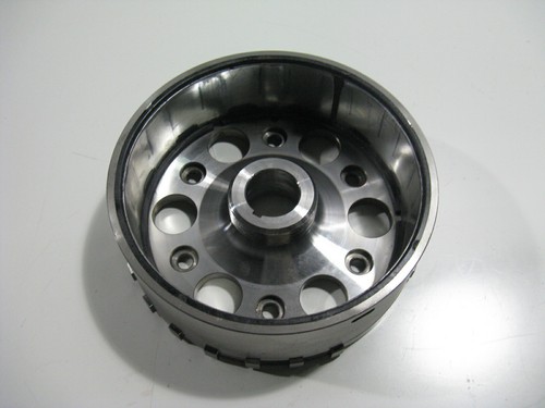 Lichtmaschine rotor polrad - rotor,