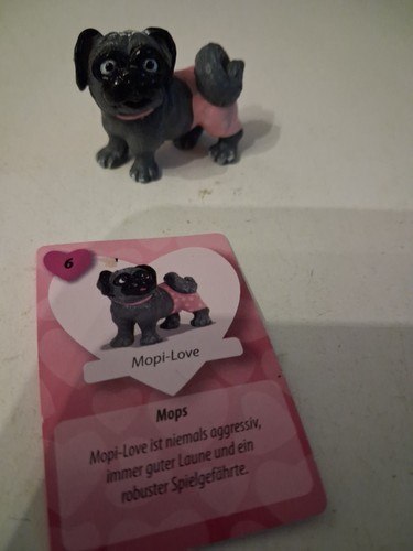 Chi love and - love, simba