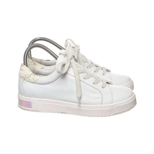 Donna carolina sneaker - carolina,,
