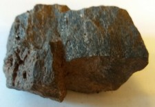 Verkieseltes Holz aus der