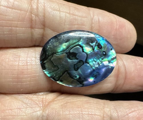 Vintage abalone perlmutt - vintage,