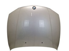 Motorhaube 354 Titansilber Met