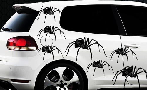 Spider spinnen - 9x,