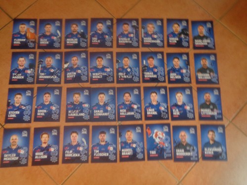 Straubing tigers eishockey - straubing,