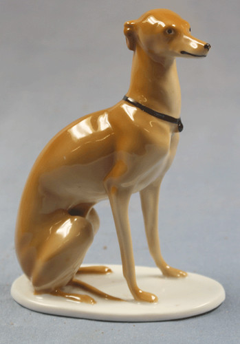 Windhund windspiel whippet - windhund,