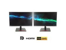 2x Lenovo ThinkVision P24q-20