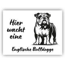 Englische bulldogge schild - bulldogge,