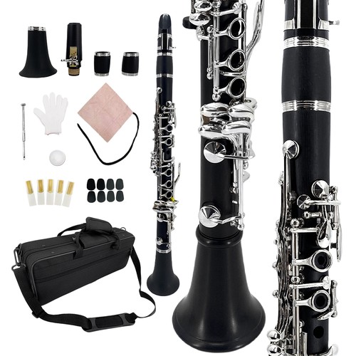 Professional clarinet with - professional,