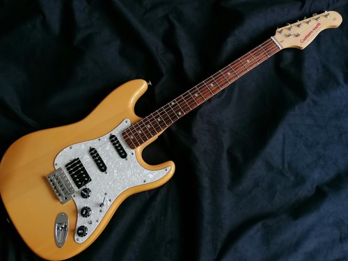 Stratocaster-Kopie