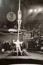 Zirkus Artisten Artistik