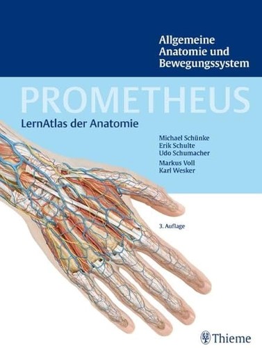 Prometheus lernatlas anatomie - prometheus,